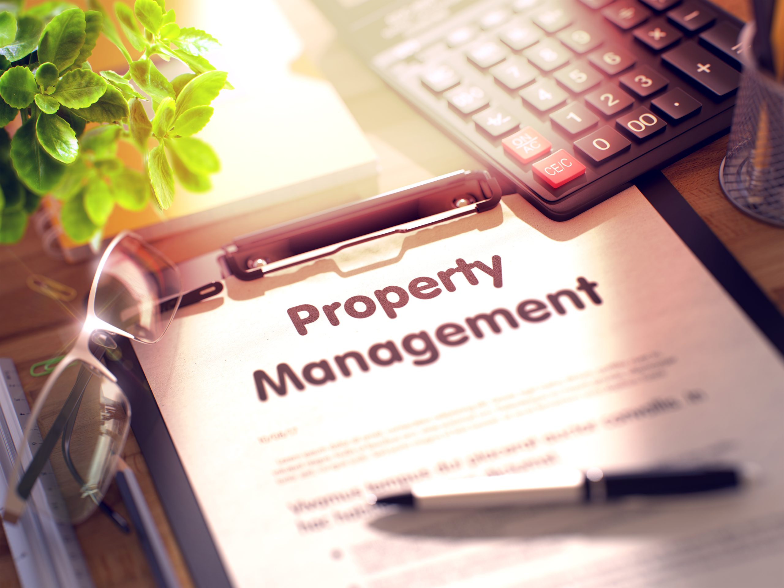 Property Management B1 Property Maintenance & Management Kapiti